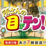 「所さんの目がテン!」が“地上波初”受賞!環境省「グッドライフアワード」とは